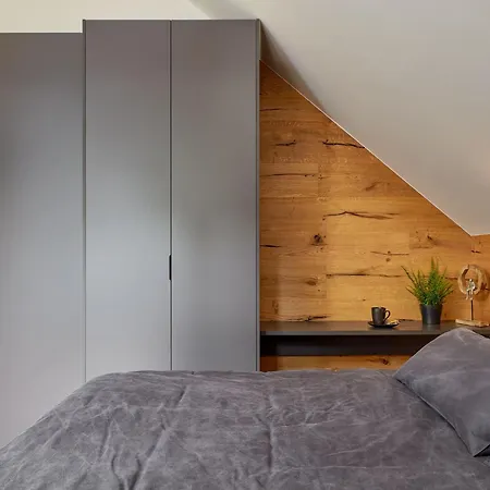 Bedrich Vi. *