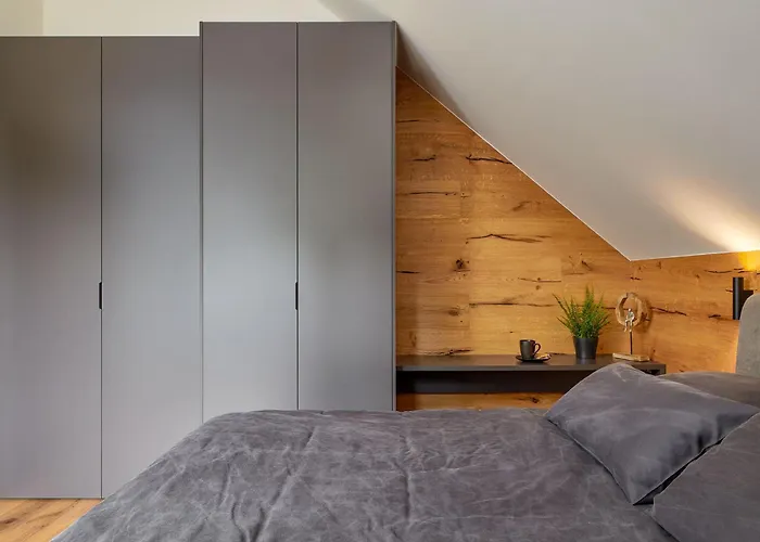 Bedrich Vi. *